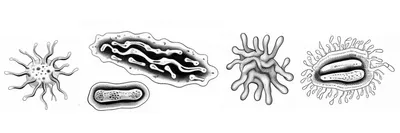 Decorative banner of the Hogle Lab research themes